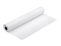 Epson - Brillant - Rouleau (43,2 cm x 30,5 m) - 250 g/m² - 1 rouleau(x) papier photo - pour SureColor P5000, P800, SC-P10000, P20000, P5000, P7500, P900, P9500 C13S041892