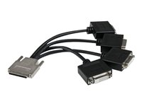 StarTech.com Câble Répartiteur VHDCI 68 broches vers Quad DVI - 1x VHDCI (M) vers 4x DVI-D (F) pour Cartes Graphiques NVIDIA et VisionTek - Câble DVI - DVI-D (F) pour VHDCI 68 broches (M) - 22 cm - moulé - noir VHDCI24DVI