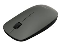 Acer AMR020 Slim - Souris - optique - 3 boutons - sans fil - RF - récepteur sans fil USB - gris sidéral - Pour la vente au détail GP.MCE11.01B