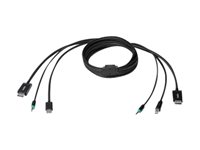 Belkin Secure KVM Cable Kit - Câble clavier / vidéo / souris (KVM) - USB type B, jack mini, DisplayPort (M) pour USB, jack mini, DisplayPort (M) - 3.04 m - pour P/N: F1DN102KVM-UN-3, F1DN104F-3, F1DN104KVM-UN-3, F1DN202KVM-UN-3, F1DN204KVM-UN-3 F1D9019B10