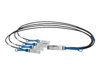 Intel Ethernet QSFP+ Breakout - Câble réseau - SFP+ pour QSFP+ - 1 m - SFF-8436 - pour Ethernet Converged Network Adapter X520-QDA1 X4DACBL1