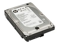 HP - Disque dur - 3 To - interne - 3.5" - SATA 6Gb/s - 7200 tours/min - mémoire tampon : 64 Mo - pour Workstation Z1, Z230, Z420, Z620, Z640 (3.5"), z800, Z820 QF298AA