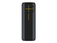 Ultimate Ears MEGABOOM - Haut-parleur - pour utilisation mobile - sans fil - Bluetooth, NFC - panthère 984-001221