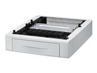 Epson bac d'alimentation - 250 feuilles C12C802681