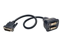 Tripp Lite 1ft DVI Y Splitter Video Monitor Cable DVI-D M/2xF 1' - Répartiteur DVI - liaison double - DVI-D (M) pour DVI-D (F) - 30 cm - moulé - noir P564-001